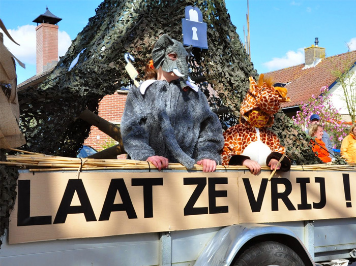 Geweldige Koningsdag